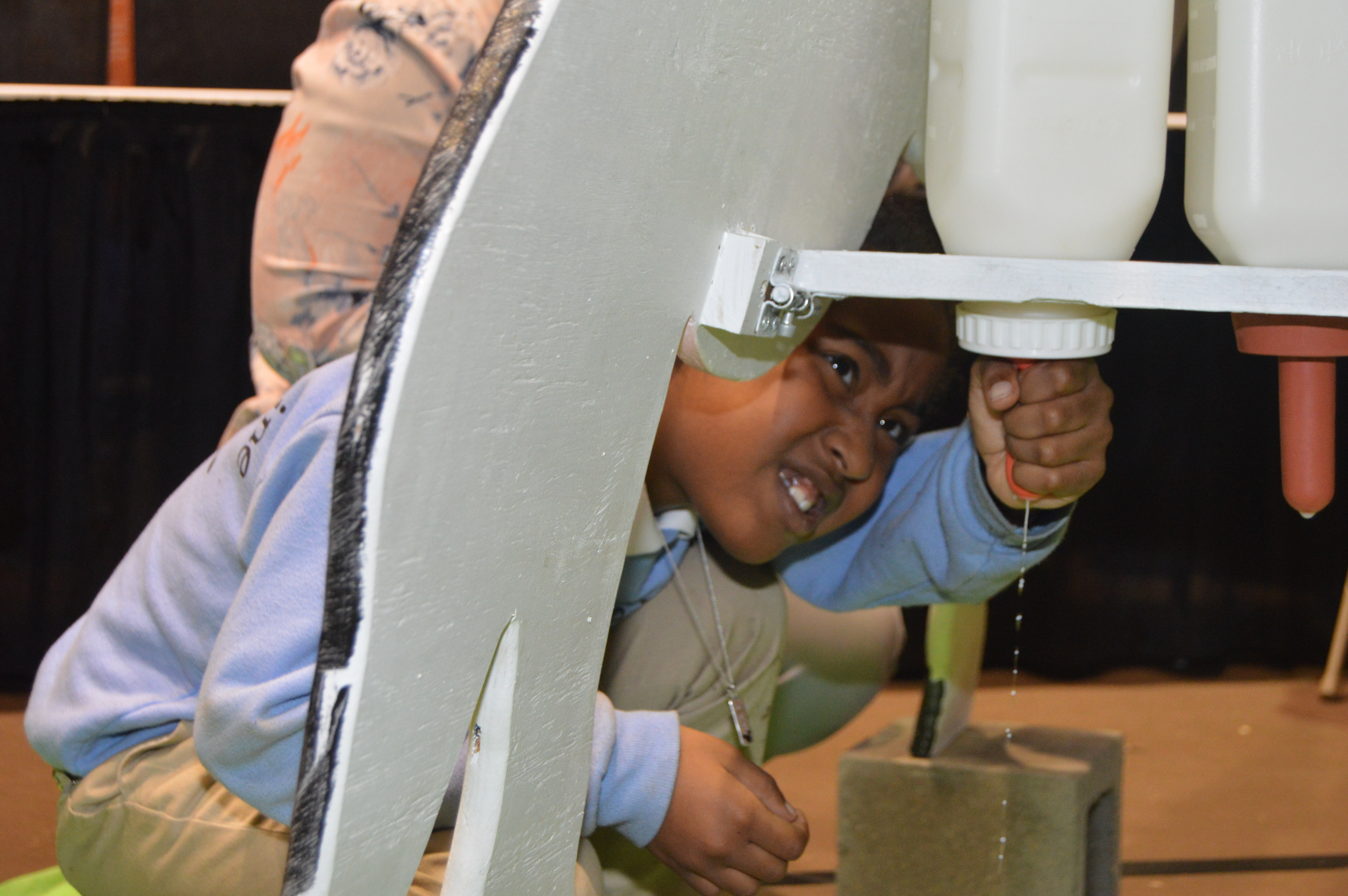 Interactive exhibits featured at Ag Alley